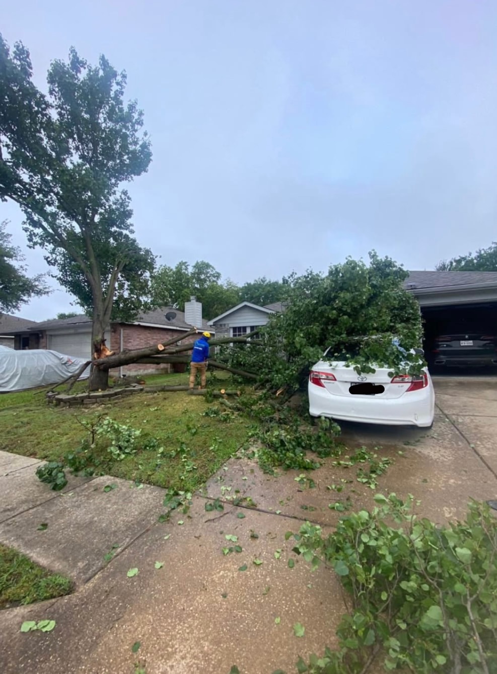 Storm Damage Cleanup