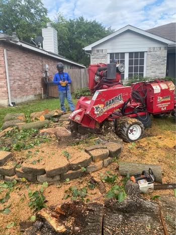 Stump Grinding